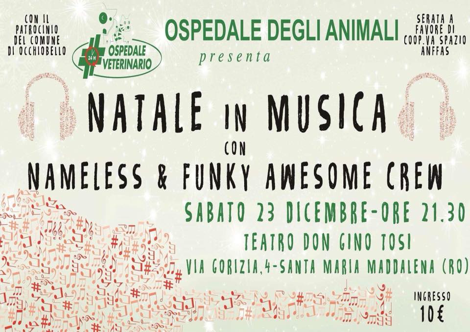 natale-in-musica-con-funky-awesome-crew-nameless-e-andrea-poltronieri