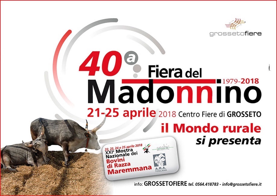 madonnino2018-sergio-sgrilli-andrea-poltronieri